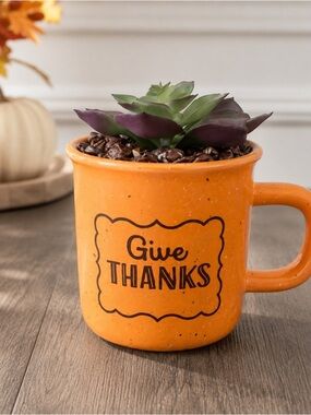Thanksgiving Give Thanks Faux Succulent Mug Decor